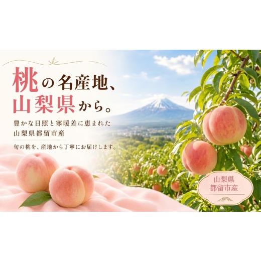 ふるさと納税 もも 山梨県 都留市  2026年発送 山梨県都留市産 桃詰合せ 約2.0kg (5〜8玉) | 桃 もも 先行予約 もも 白鳳 もも 桃 先行予約 桃 先行予約 桃 も…_2