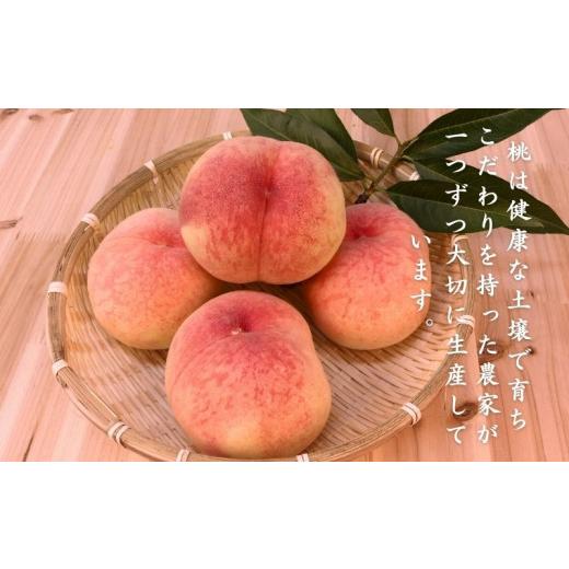 ふるさと納税 もも 山梨県 都留市  2026年先行予約 山梨県都留市産 桃詰合せ 2.0kg (5〜8玉) | 厳選 品種 おまかせ もも モモ 日川白鳳 あさま なつっこ 夢み…の画像
