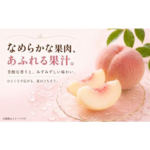 ふるさと納税 もも 山梨県 都留市  2026年発送 山梨県都留市産 桃詰合せ 約2.0kg (5〜8玉) | 桃 もも 先行予約 もも 白鳳 もも 桃 先行予約 桃 先行予約 桃 も…_3