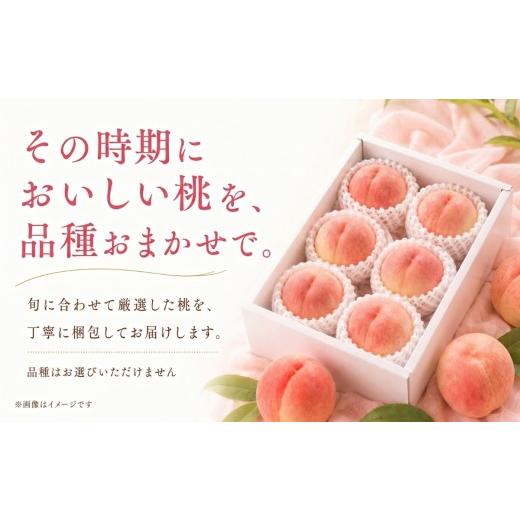 ふるさと納税 もも 山梨県 都留市  2026年発送 山梨県都留市産 桃詰合せ 約2.0kg (5〜8玉) | 桃 もも 先行予約 もも 白鳳 もも 桃 先行予約 桃 先行予約 桃 も…_4