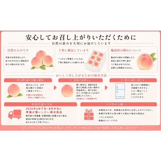 ふるさと納税 もも 山梨県 都留市  2026年発送 山梨県都留市産 桃詰合せ 約2.0kg (5〜8玉) | 桃 もも 先行予約 もも 白鳳 もも 桃 先行予約 桃 先行予約 桃 も…_5