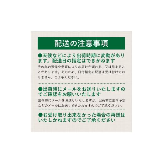 ふるさと納税 もも 山梨県 都留市  2026年先行予約 山梨県都留市産 桃詰合せ 2.0kg (5〜8玉) | 厳選 品種 おまかせ もも モモ 日川白鳳 あさま なつっこ 夢み…の画像