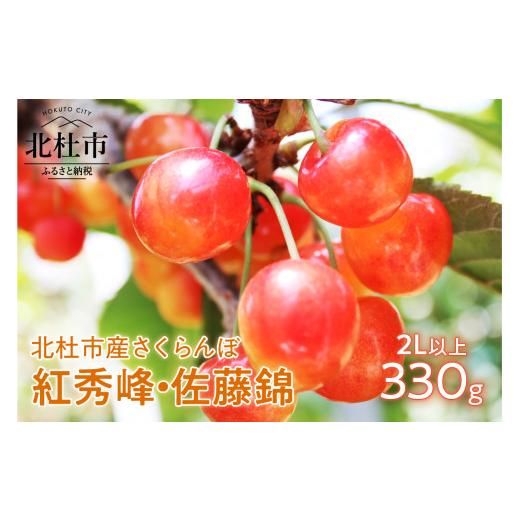 ふるさと納税 果物類 さくらんぼ 山梨県 北杜市 2026年発送 佐藤錦・紅秀峰 さくらんぼ 2L以上(330g) 大玉 フルーツ くだもの 最高品種 甘い ジューシー …