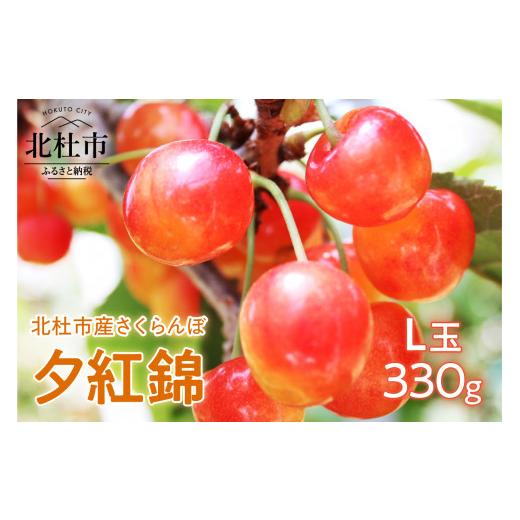 ふるさと納税 果物類 さくらんぼ 山梨県 北杜市 2026年発送 夕紅錦 さくらんぼ L玉(330g) さくらんぼ フルーツ 夕紅錦 L玉 330g 糖度21度 果汁が多くジュ…