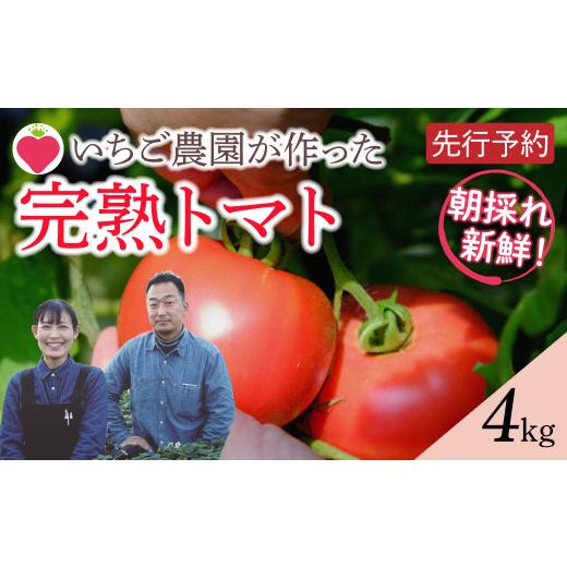 ふるさと納税 野菜類 トマト 福島県 田村市 先行予約 朝採り 完熟トマト 4kg(大玉) 鮮度抜群 がもう農園 直送 7月より発送 福島県 田村市