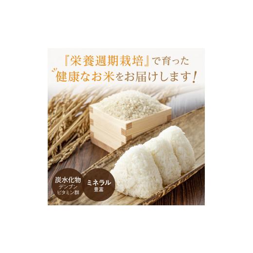 ふるさと納税 北海道 北見市 【6ヶ月定期便】ななつぼし 白米5kg 北海道 北見市端野産 ( 米類 米 白米 ななつぼし 5キロ 定期便 )【999-0063】 北海道 ななつぼし 白米
