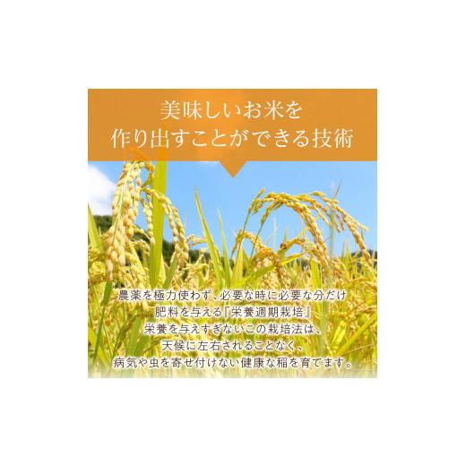 ふるさと納税 北海道 北見市 【6ヶ月定期便】ななつぼし 白米5kg 北海道 北見市端野産 ( 米類 米 白米 ななつぼし 5キロ 定期便 )【999-0063】 北海道 ななつぼし 白米