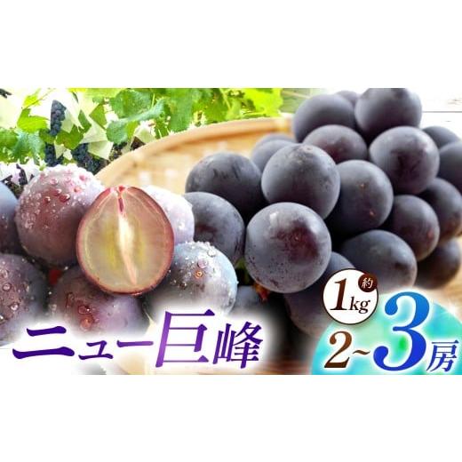 ふるさと納税 果物類 ぶどう 大分県 中津市 先行予約 数量限定 宮内果樹観光園のニュー巨峰 約1kg ぶどう 2〜3房 | フルーツ 果物 くだもの ブドウ 葡萄 巨峰…