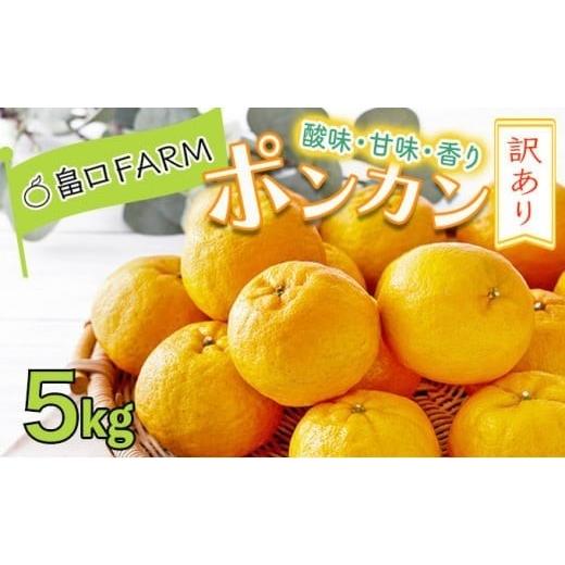 ふるさと納税 みかん・柑橘類 高知県 東洋町 訳ありポンカン 5kg 5kg