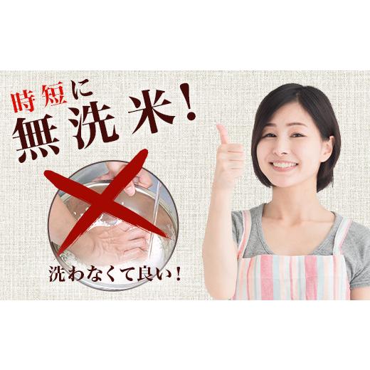 ふるさと納税 無洗米 茨城県 茨城町 221-1 令和7年産 茨城町産 無洗米 ミルキークイーン 10kg(5kg×2袋) 野口ライス 5kg×2袋_3