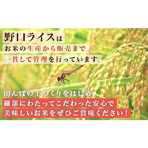 ふるさと納税 無洗米 茨城県 茨城町 221-2 令和7年産 茨城町産 無洗米 ミルキークイーン 10kg(2kg×5袋) 野口ライス 2kg×5袋_4