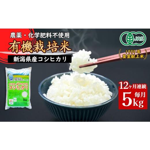 新潟県産米コシヒカリ 胎内市産 玄米30kg 令和5年米 従来コシヒカリ