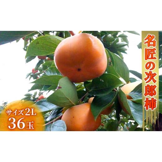 ふるさと納税 果物類 柿 静岡県 浜松市 名匠の次郎柿 2L 36玉 11月上旬より順次発送 柿 かき 果物 くだもの フルーツ 旬の果物 旬のフルーツ 秋の味覚 次郎柿 …