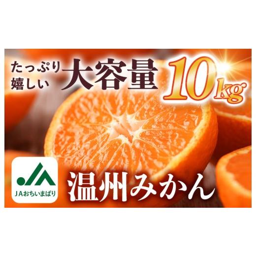 ふるさと納税 果物類 みかん 愛媛県 今治市 先行予約 温州みかん 10kg KC00760 2026年11月初旬〜1月上旬に順次発送予定 期間限定 ふるさと納税ミカン 温州ミ…