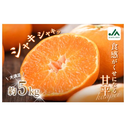ふるさと納税 果物類 みかん 愛媛県 今治市 先行予約 甘平(家庭用)レギュラー箱 約5kg KC00780 甘平 約5kg