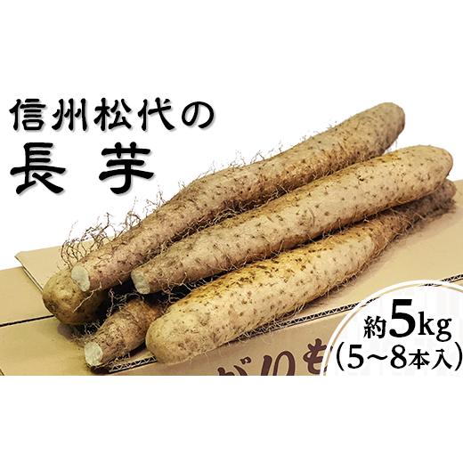 ふるさと納税 人参・大根・他根菜 長野県 長野市 信州の長芋 調理しやすい食べきりサイズ 5〜8本入り
