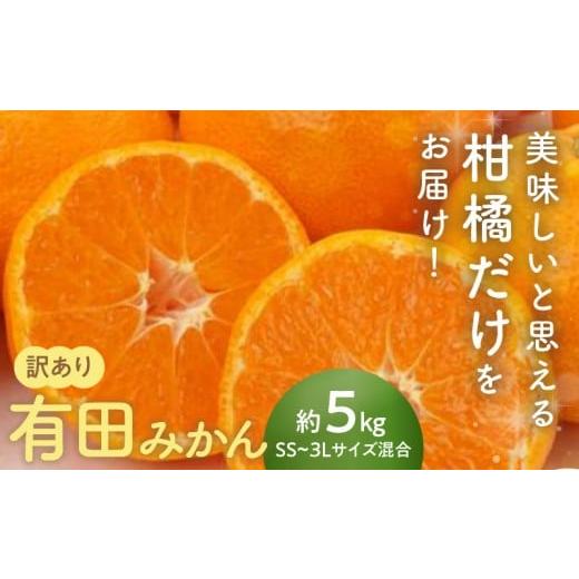 ふるさと納税 果汁飲料 みかん 和歌山県 湯浅町 AN6102n_ 2026年先行予約 ご家庭用有田みかん箱込み5kgサイズ混合