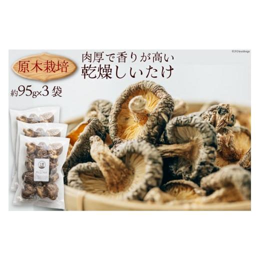 ふるさと納税 乾物 干ししいたけ 熊本県 五木村 干し椎茸 しいたけ 乾燥 約95g 3 計約285g 肉厚 原木栽培 乾燥しいたけ 日添 熊本県 五木村 51120303 椎茸 乾…