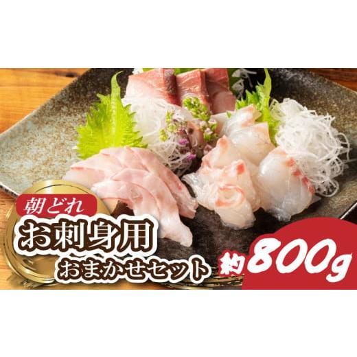 ふるさと納税 魚貝類 鯛 三重県 南伊勢町 お刺身 おまかせ 2〜3種 約800g 盛り合わせ 刺身 刺し身 国産 旬 鯛 ブリ マグロ ヒラマサ カンパチ シマアジ ヒラメ…