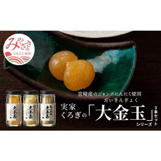 ふるさと納税 缶詰・瓶詰 宮崎県 宮崎市 宮崎産のジャンボにんにく使用