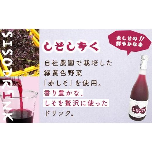 ふるさと納税 果汁飲料 マンゴー 宮崎県 串間市 驚きの果実感 宮崎果汁オススメセット(720ml×6本) _K021-009の画像