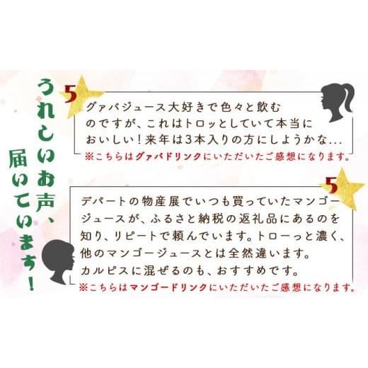 ふるさと納税 果汁飲料 マンゴー 宮崎県 串間市 驚きの果実感 宮崎果汁オススメセット(720ml×6本) _K021-009の画像
