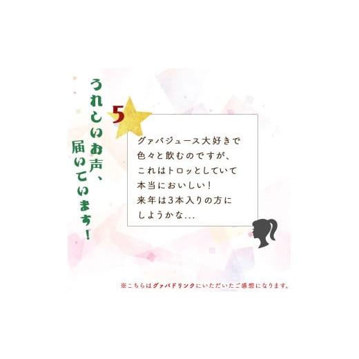 ふるさと納税 果汁飲料 宮崎県 串間市  定期便・全3回 驚きの果実感 グァバ・パッションフルーツドリンク２本セット(各720ml)×3回_K021-T004の画像