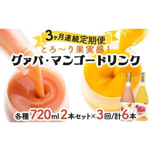 ふるさと納税 果汁飲料 マンゴー 宮崎県 串間市  定期便・全3回 とろーり果実感 グァバ・マンゴードリンク２本セット(各720ml×2本)×3回_K021-T006の画像