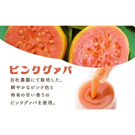 ふるさと納税 果汁飲料 マンゴー 宮崎県 串間市  定期便・全3回 とろーり果実感 グァバ・マンゴードリンク２本セット(各720ml×2本)×3回_K021-T006の画像