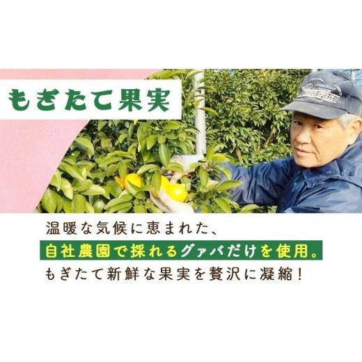 ふるさと納税 果汁飲料 マンゴー 宮崎県 串間市  定期便・全3回 とろーり果実感 グァバ・マンゴードリンク２本セット(各720ml×2本)×3回_K021-T006の画像