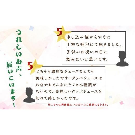 ふるさと納税 果汁飲料 マンゴー 宮崎県 串間市  定期便・全3回 とろーり果実感 グァバ・マンゴードリンク２本セット(各720ml×2本)×3回_K021-T006の画像