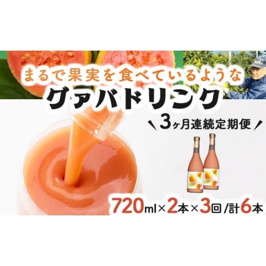 ふるさと納税 果汁飲料 宮崎県 串間市  定期便・全3回 まるで果実を食べているような グァバドリンク２本セット(各720ml)×3回_K021-T007の画像