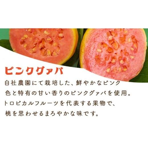 ふるさと納税 果汁飲料 宮崎県 串間市  定期便・全3回 まるで果実を食べているような グァバドリンク２本セット(各720ml)×3回_K021-T007の画像