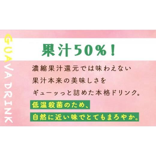 ふるさと納税 果汁飲料 宮崎県 串間市  定期便・全3回 まるで果実を食べているような グァバドリンク２本セット(各720ml)×3回_K021-T007の画像
