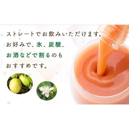 ふるさと納税 果汁飲料 宮崎県 串間市  定期便・全3回 まるで果実を食べているような グァバドリンク２本セット(各720ml)×3回_K021-T007の画像