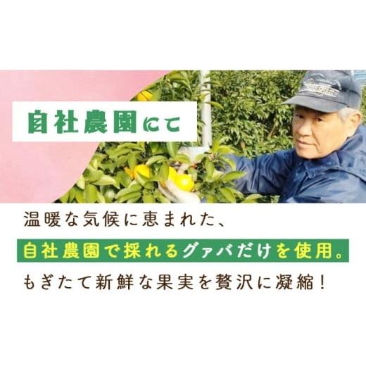 ふるさと納税 果汁飲料 宮崎県 串間市  定期便・全3回 まるで果実を食べているような グァバドリンク２本セット(各720ml)×3回_K021-T007の画像