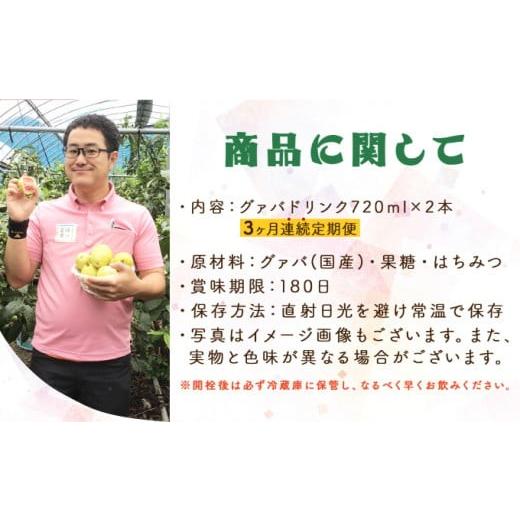 ふるさと納税 果汁飲料 宮崎県 串間市  定期便・全3回 まるで果実を食べているような グァバドリンク２本セット(各720ml)×3回_K021-T007の画像