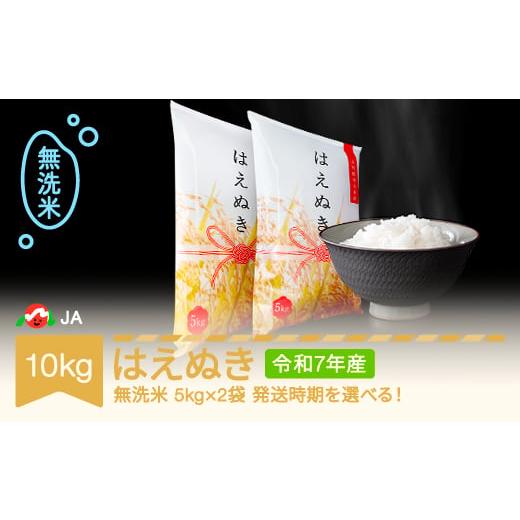 ふるさと納税 米 はえぬき 山形県 村山市 先行予約 新米 米 10kg 5kg×2 はえぬき 無洗米 令和7年産 2025年11月上旬 ja-hamxa10-11a 2025年11月上旬
