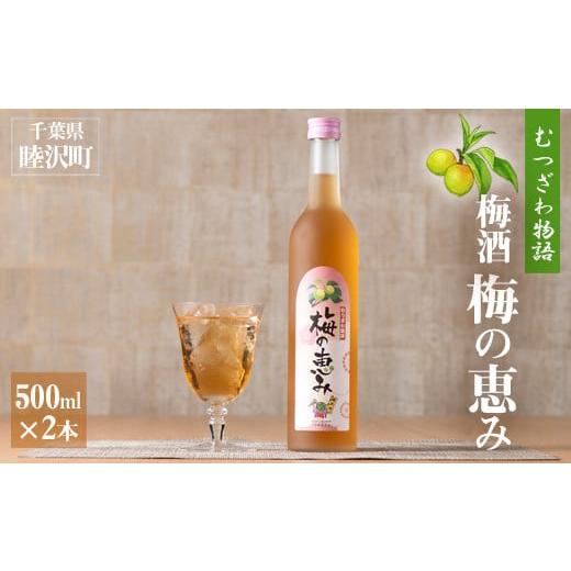 ふるさと納税 お酒 千葉県 睦沢町 むつざわ物語 梅酒「梅の恵み」500ml×2本 F21G-092