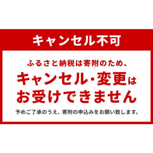 パソコン・周辺機器 宮城県 石巻市 アシダ音響 ヘッドセット MT-669-CT 片耳 マイク 有線 黒 ブラック ASHIDAVOX アシダ PC 【電気ケトル】 タブレット テレワー…
