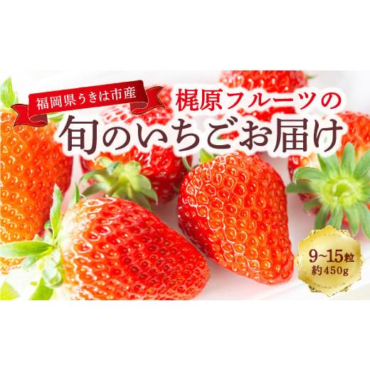 ふるさと納税 いちご 福岡県 うきは市 梶原フルーツの旬のいちごお届け 2026年1月 出荷予定 いちご 苺 イチゴ 旬 フルーツ 果物 くだもの 果実 冷蔵 福岡県 う…