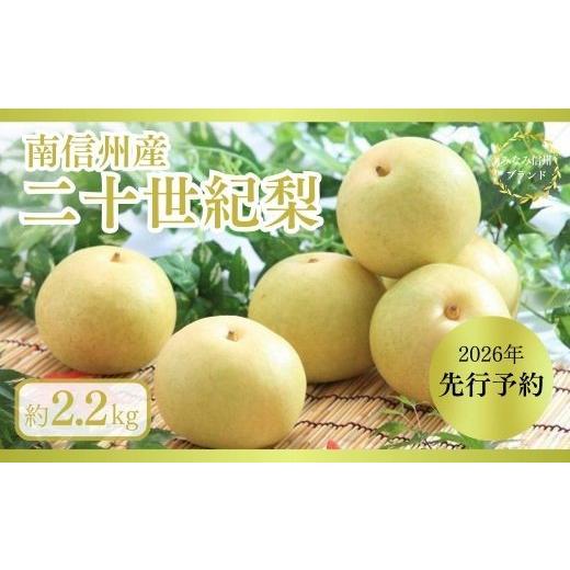 ふるさと納税 梨 長野県 松川町 JA30 二十時代梨 約2.2kg ／ 2026年9月上旬〜9月下旬ごろ送りとどける ／／ 糖度検出器篩いにかける 厳選 南信州 長野県 和梨 なし 有りの実 新…
