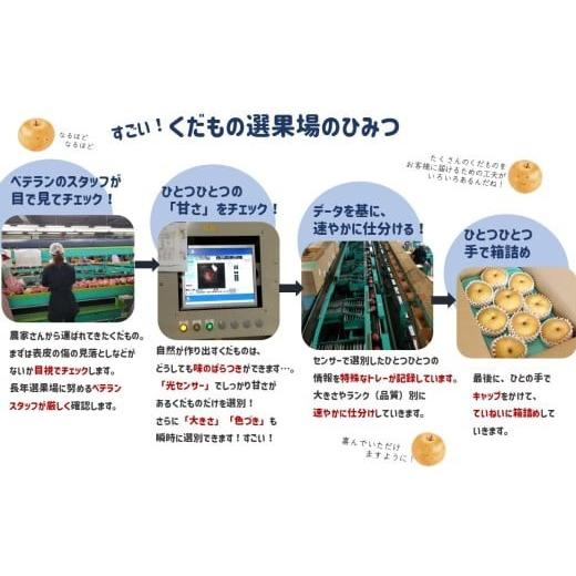 ふるさと納税 梨 長野県 松川町 JA30 二十時代梨 約2.2kg ／ 2026年9月上旬〜9月下旬ごろ送りとどける ／／ 糖度検出器篩いにかける 厳選 南信州 長野県 和梨 なし 有りの実 新…