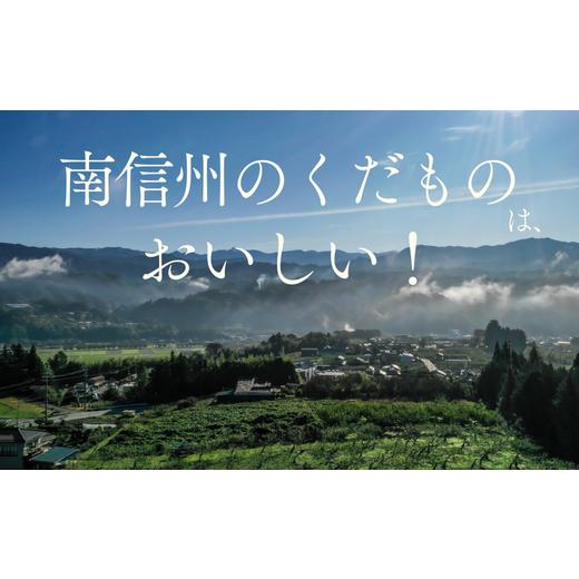 ふるさと納税 梨 長野県 松川町 JA30 二十時代梨 約2.2kg ／ 2026年9月上旬〜9月下旬ごろ送りとどける ／／ 糖度検出器篩いにかける 厳選 南信州 長野県 和梨 なし 有りの実 新…