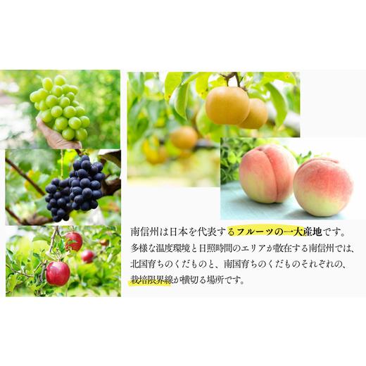 ふるさと納税 梨 長野県 松川町 JA30 二十時代梨 約2.2kg ／ 2026年9月上旬〜9月下旬ごろ送りとどける ／／ 糖度検出器篩いにかける 厳選 南信州 長野県 和梨 なし 有りの実 新…