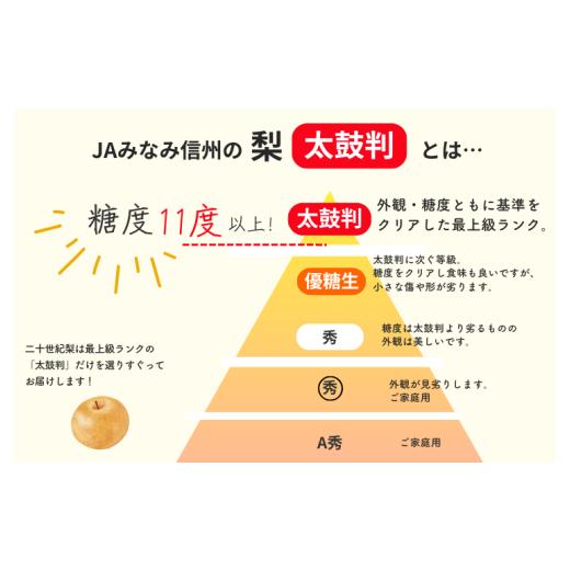 ふるさと納税 梨 長野県 松川町 JA30 二十時代梨 約2.2kg ／ 2026年9月上旬〜9月下旬ごろ送りとどける ／／ 糖度検出器篩いにかける 厳選 南信州 長野県 和梨 なし 有りの実 新…