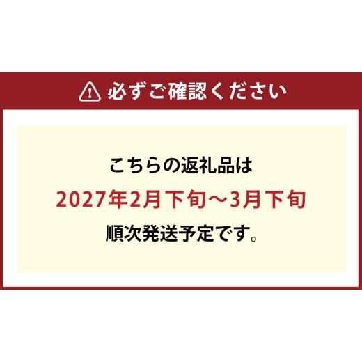 ふるさと納税 雑貨・日用品 花 岡山県 倉敷市 フレッシュ ミモザとユーカリのハーフムーンリース M 2027年2月下旬〜3月下旬発送予定 ハンドメイド ミモザリー…_6