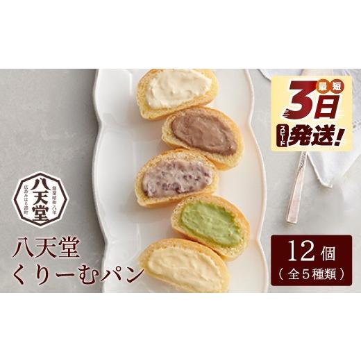 ふるさと納税 菓子 詰合せ 広島県 三原市 八天堂 くりーむパン12個
