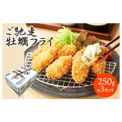 ふるさと納税 広島県 三原市  広島県産かき使用☆ご馳走かきフライ(タカノブ食品)