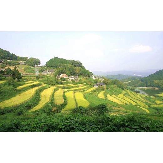 ふるさと納税 日本酒 岡山県 久米南町 久米南産 山田錦 山廃純米酒 桃太郎 鬼根こそぎ 300ml 1本 1109199